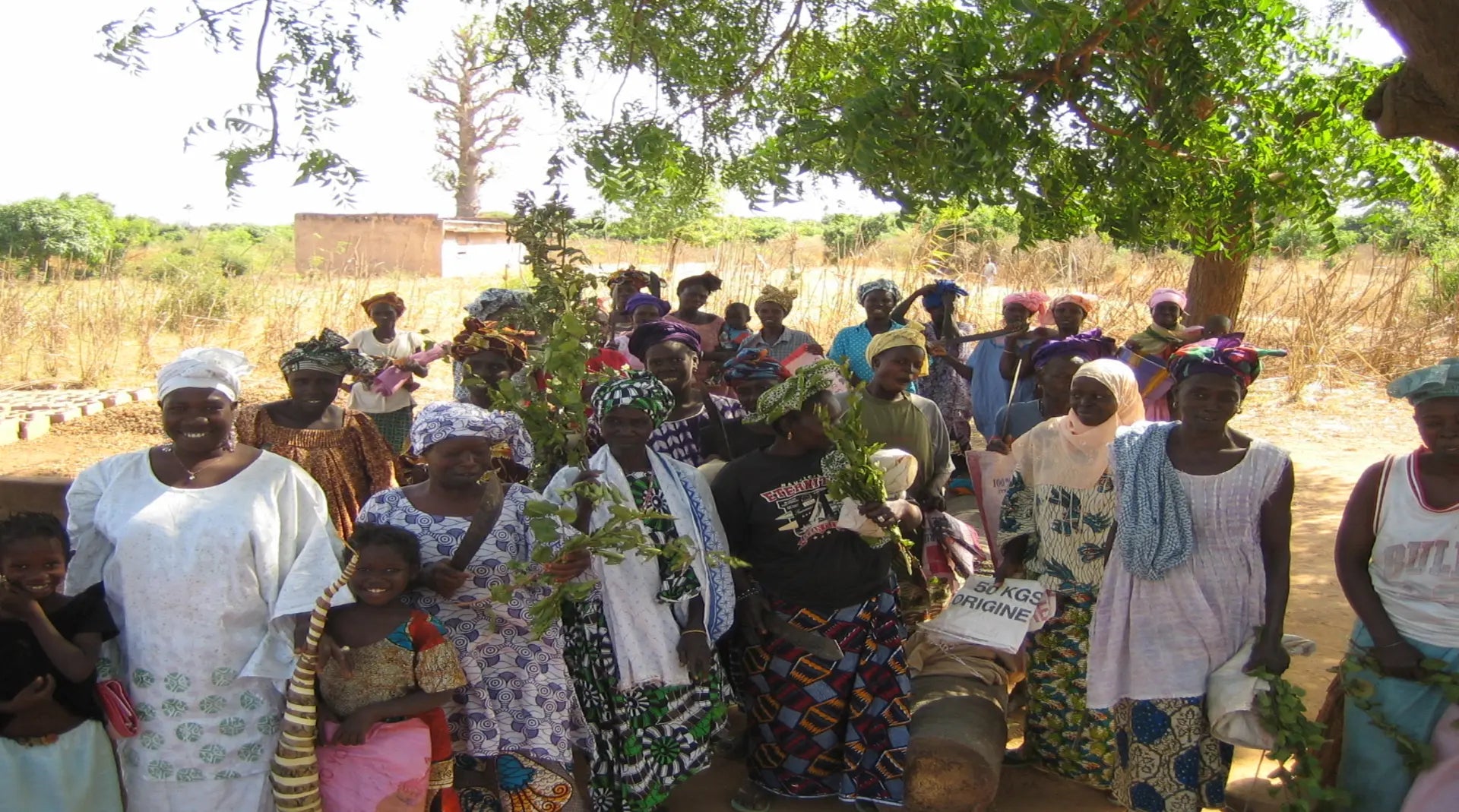 Women farmers with Kinkeliba harvest in West Africa