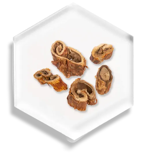 Mulberry Root Extract