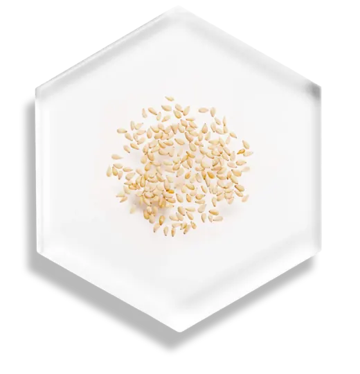 Sesame Extract