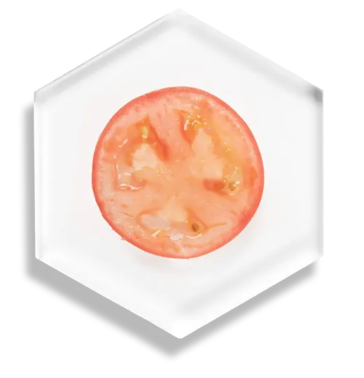 Tomato Extract