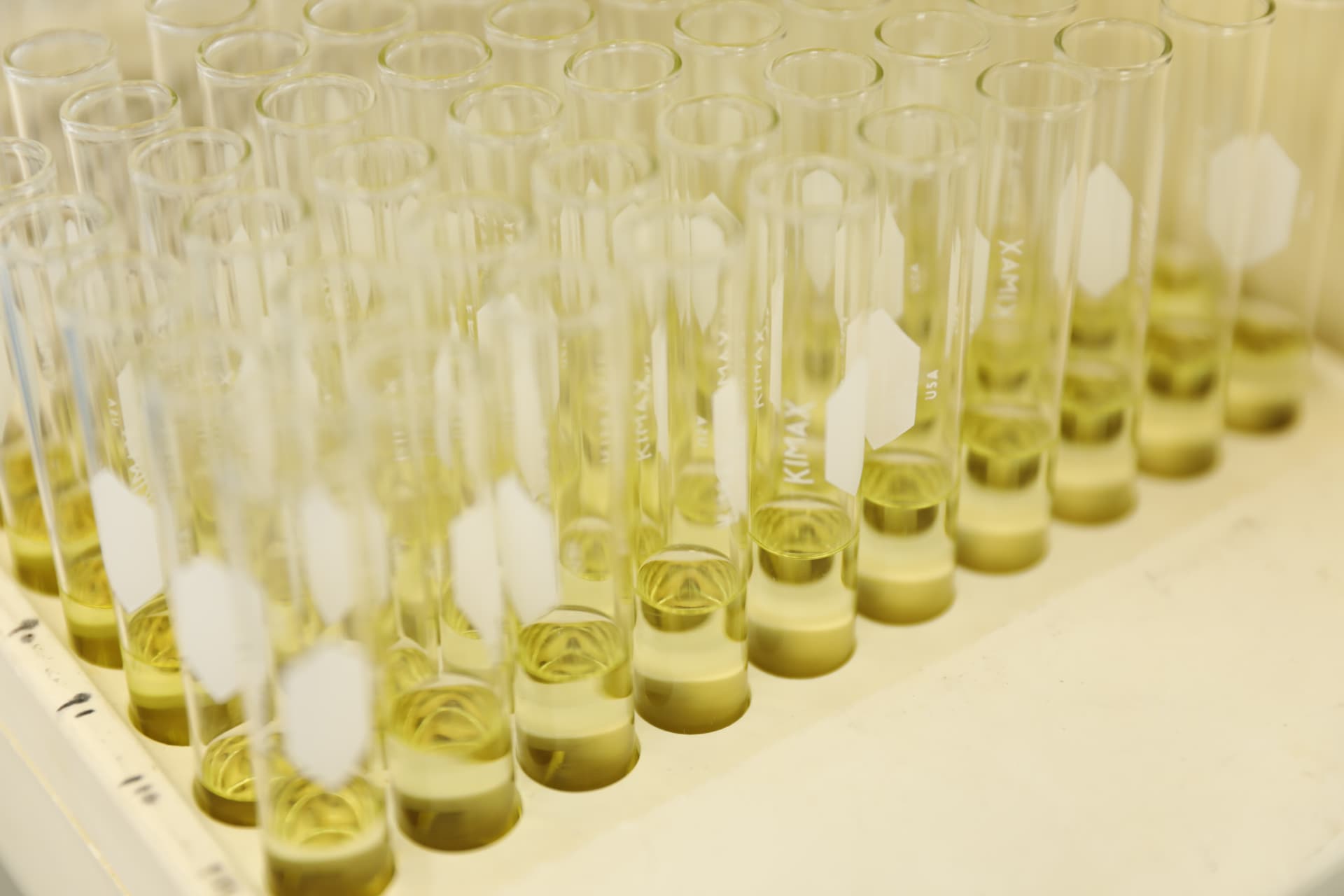 Bioactive fractions in test tubes